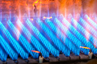 Demelza gas fired boilers